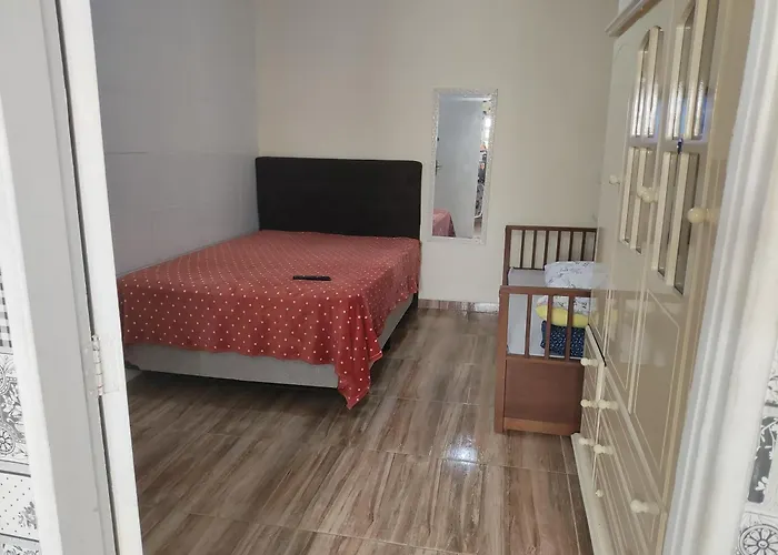 Centro Paraolimpico Jd Zoologico Aeroporto De Congonhas